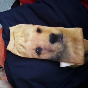Socks New Doogie socks